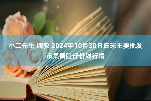 小二先生 调教 2024年10月30日寰球主要批发市集黄肚仔价钱行情