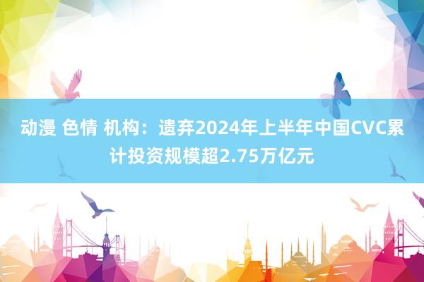 动漫 色情 机构：遗弃2024年上半年中国CVC累计投资规模超2.75万亿元