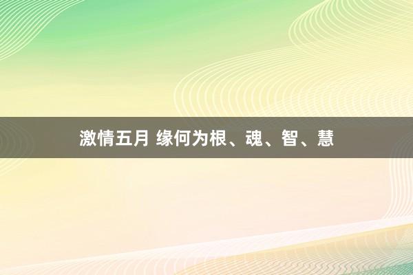 激情五月 缘何为根、魂、智、慧