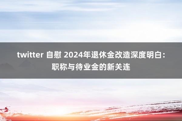 twitter 自慰 2024年退休金改造深度明白：职称与待业金的新关连