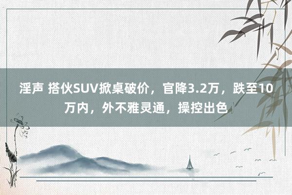 淫声 搭伙SUV掀桌破价，官降3.2万，跌至10万内，外不雅灵通，操控出色