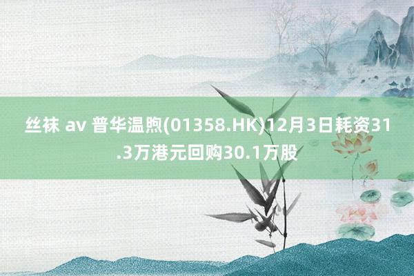 丝袜 av 普华温煦(01358.HK)12月3日耗资31.3万港元回购30.1万股