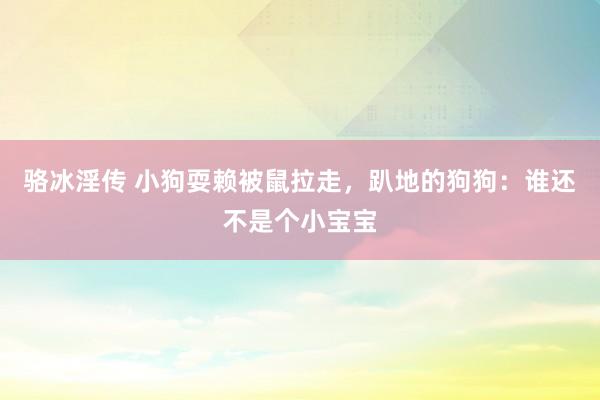 骆冰淫传 小狗耍赖被鼠拉走，趴地的狗狗：谁还不是个小宝宝