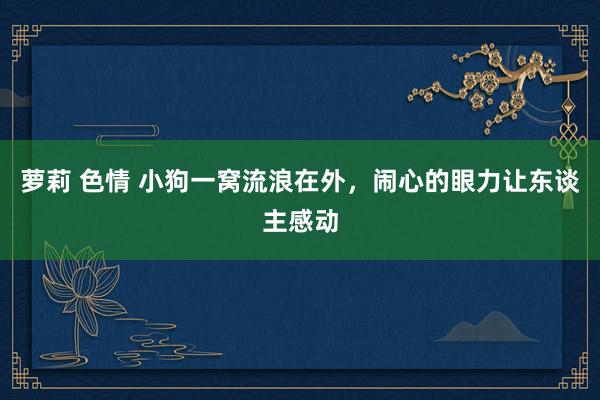 萝莉 色情 小狗一窝流浪在外，闹心的眼力让东谈主感动