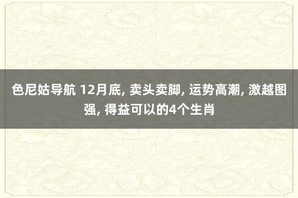 色尼姑导航 12月底， 卖头卖脚， 运势高潮， 激越图强， 得益可以的4个生肖