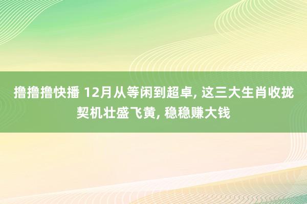 撸撸撸快播 12月从等闲到超卓， 这三大生肖收拢契机壮盛飞黄， 稳稳赚大钱