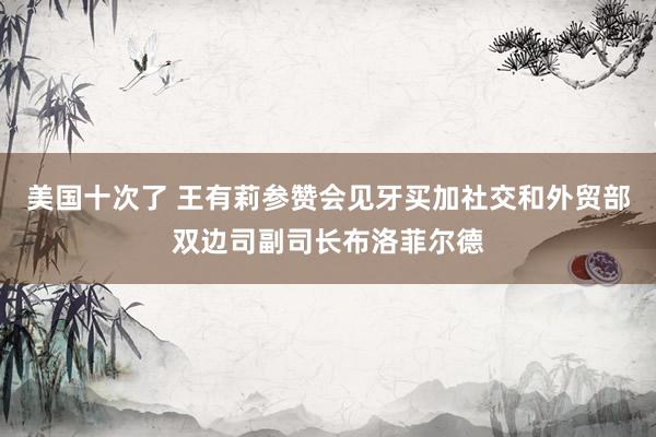 美国十次了 王有莉参赞会见牙买加社交和外贸部双边司副司长布洛菲尔德