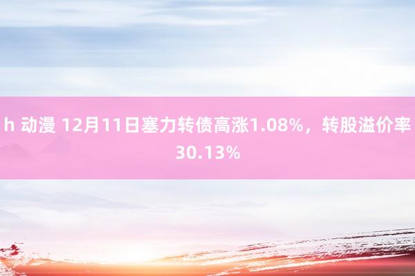 h 动漫 12月11日塞力转债高涨1.08%，转股溢价率30.13%