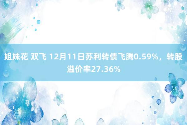 姐妹花 双飞 12月11日苏利转债飞腾0.59%，转股溢价率27.36%