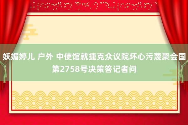 妖媚婷儿 户外 中使馆就捷克众议院坏心污蔑聚会国第2758号决策答记者问