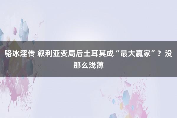 骆冰淫传 叙利亚变局后土耳其成“最大赢家”？没那么浅薄