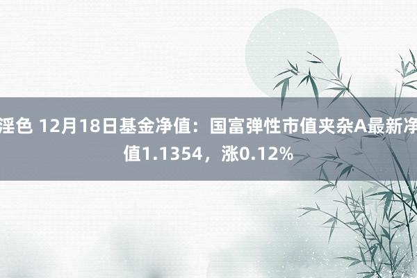 淫色 12月18日基金净值：国富弹性市值夹杂A最新净值1.1354，涨0.12%