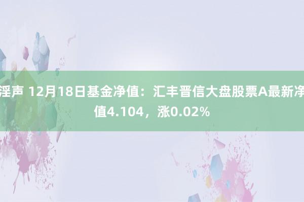 淫声 12月18日基金净值：汇丰晋信大盘股票A最新净值4.104，涨0.02%