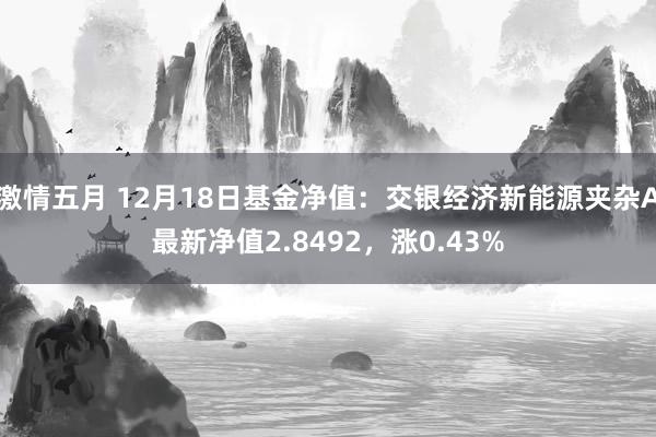 激情五月 12月18日基金净值：交银经济新能源夹杂A最新净值2.8492，涨0.43%