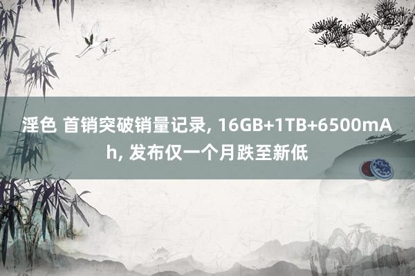 淫色 首销突破销量记录， 16GB+1TB+6500mAh， 发布仅一个月跌至新低