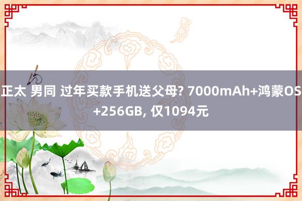 正太 男同 过年买款手机送父母? 7000mAh+鸿蒙OS+256GB， 仅1094元