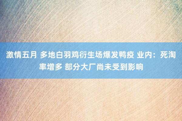 激情五月 多地白羽鸡衍生场爆发鸭疫 业内：死淘率增多 部分大厂尚未受到影响