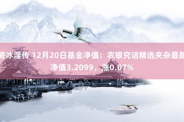 骆冰淫传 12月20日基金净值：农银究诘精选夹杂最新净值3.2099，涨0.07%