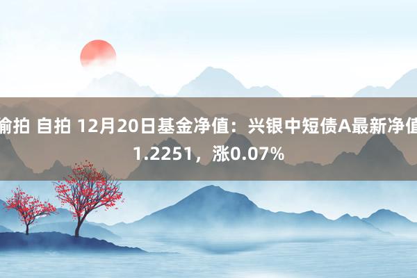 偷拍 自拍 12月20日基金净值：兴银中短债A最新净值1.2251，涨0.07%