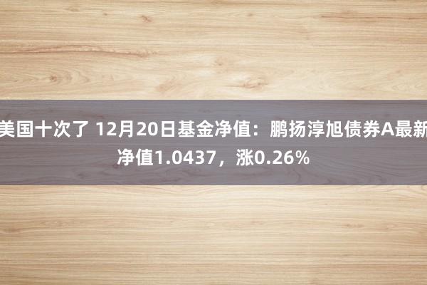 美国十次了 12月20日基金净值：鹏扬淳旭债券A最新净值1.0437，涨0.26%