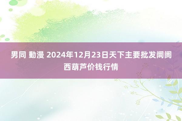 男同 動漫 2024年12月23日天下主要批发阛阓西葫芦价钱行情