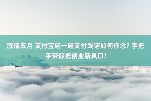 激情五月 支付宝碰一碰支付践诺如何作念? 手把手带你把创业新风口!