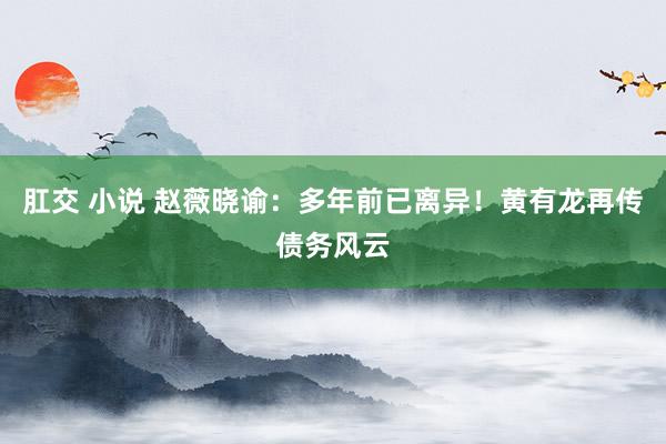 肛交 小说 赵薇晓谕：多年前已离异！黄有龙再传债务风云