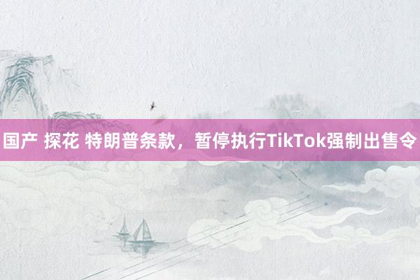 国产 探花 特朗普条款，暂停执行TikTok强制出售令