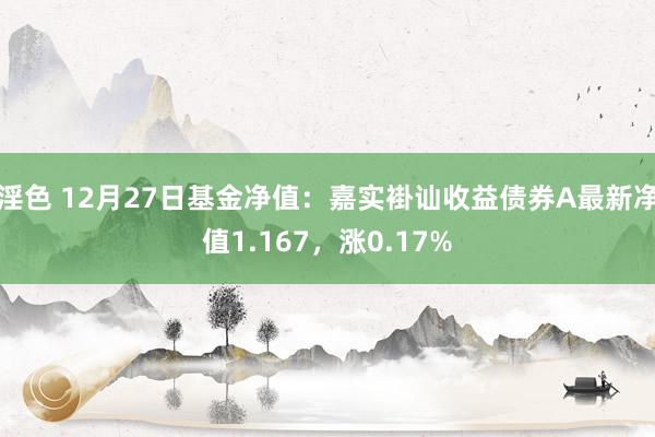 淫色 12月27日基金净值：嘉实褂讪收益债券A最新净值1.167，涨0.17%