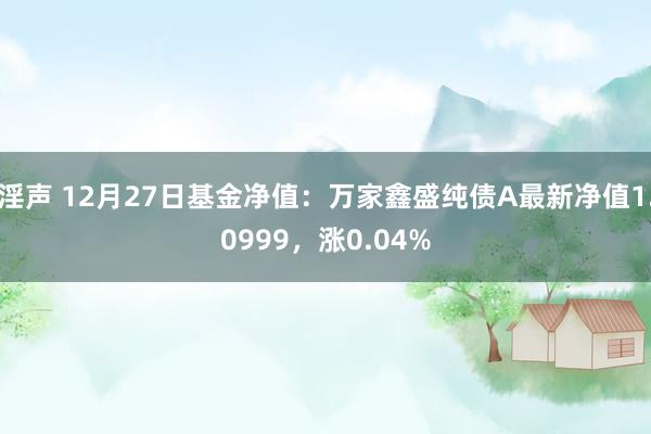 淫声 12月27日基金净值：万家鑫盛纯债A最新净值1.0999，涨0.04%