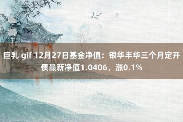 巨乳 gif 12月27日基金净值：银华丰华三个月定开债最新净值1.0406，涨0.1%