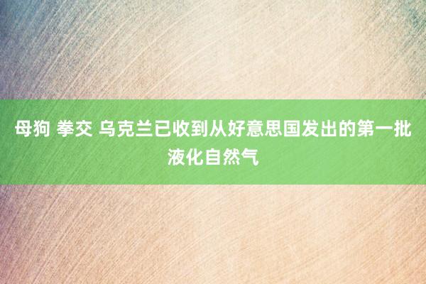 母狗 拳交 乌克兰已收到从好意思国发出的第一批液化自然气