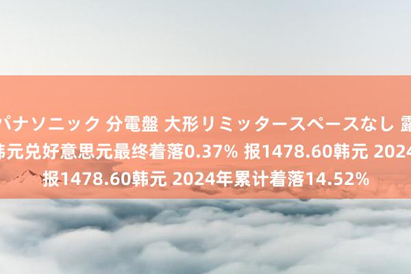 パナソニック 分電盤 大形リミッタースペースなし 露出・半埋込両用形 韩元兑好意思元最终着落0.37% 报1478.60韩元 2024年累计着落14.52%