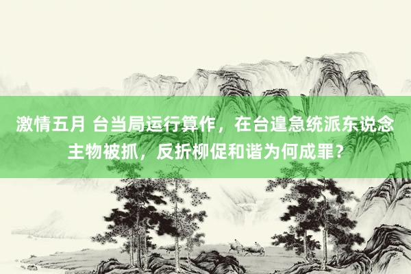 激情五月 台当局运行算作，在台遑急统派东说念主物被抓，反折柳促和谐为何成罪？