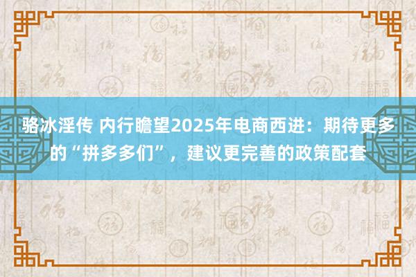 骆冰淫传 内行瞻望2025年电商西进：期待更多的“拼多多们”，建议更完善的政策配套