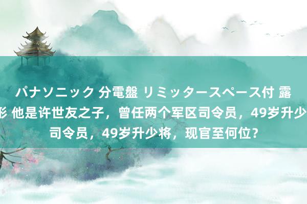 パナソニック 分電盤 リミッタースペース付 露出・半埋込両用形 他是许世友之子，曾任两个军区司令员，49岁升少将，现官至何位？