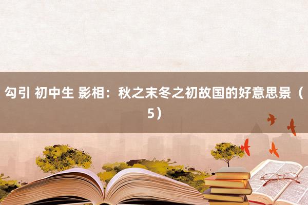 勾引 初中生 影相：秋之末冬之初故国的好意思景（5）