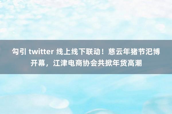 勾引 twitter 线上线下联动！慈云年猪节汜博开幕，江津电商协会共掀年货高潮