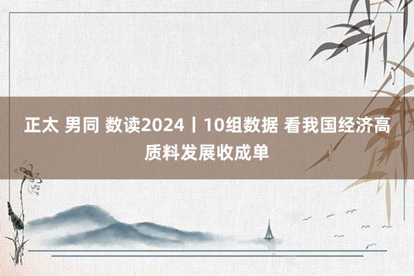 正太 男同 数读2024丨10组数据 看我国经济高质料发展收成单