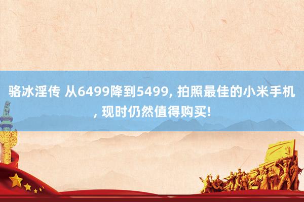 骆冰淫传 从6499降到5499， 拍照最佳的小米手机， 现时仍然值得购买!