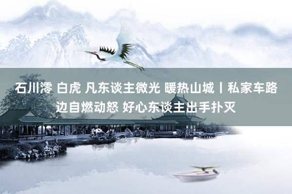 石川澪 白虎 凡东谈主微光 暖热山城丨私家车路边自燃动怒 好心东谈主出手扑灭