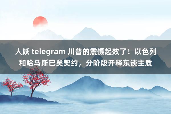 人妖 telegram 川普的震慑起效了！以色列和哈马斯已矣契约，分阶段开释东谈主质