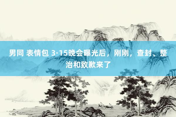 男同 表情包 3·15晚会曝光后，刚刚，查封、整治和致歉来了